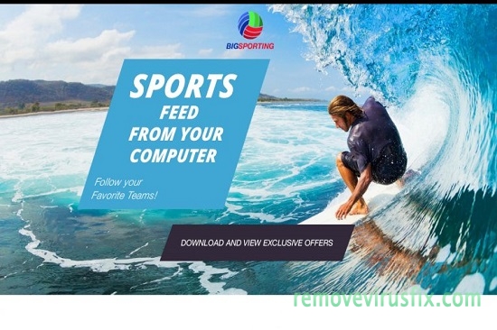 BigSporting-ads